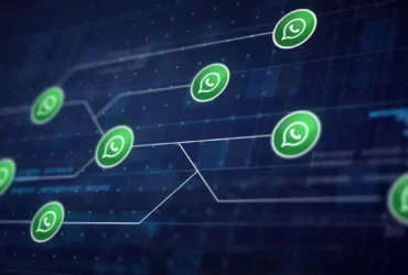 Why do you need a WhatsApp chatbot for your business